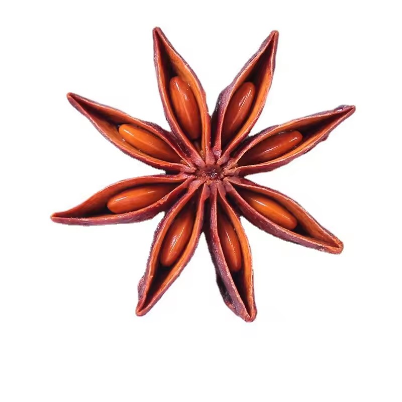 High Quality Natural Dried Sta - Candle Glass Supplies 评论和价格